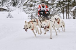 Kandersteg 2014 WM