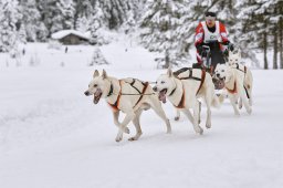 Kandersteg 2014 WM