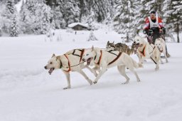 Kandersteg 2014 WM