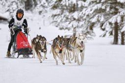 Kandersteg 2014 WM