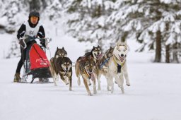 Kandersteg 2014 WM