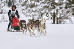 Kandersteg 2014 WM