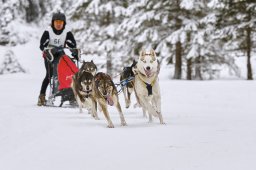 Kandersteg 2014 WM