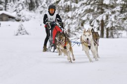 Kandersteg 2014 WM