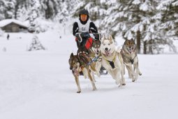 Kandersteg 2014 WM