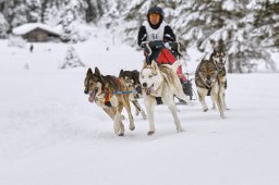 Kandersteg 2014 WM