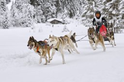 Kandersteg 2014 WM