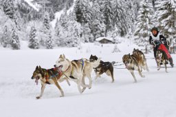 Kandersteg 2014 WM