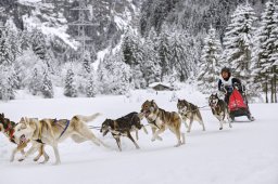 Kandersteg 2014 WM