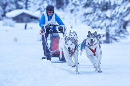 Kandersteg 2014 WM