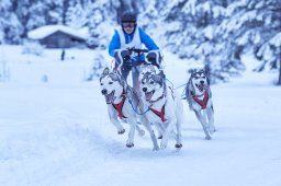 Kandersteg 2014 WM