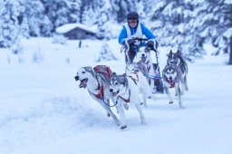 Kandersteg 2014 WM