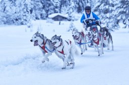 Kandersteg 2014 WM