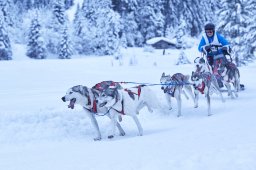 Kandersteg 2014 WM