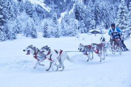 Kandersteg 2014 WM