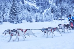 Kandersteg 2014 WM