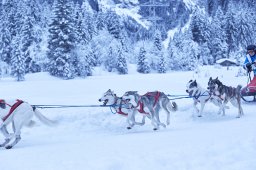 Kandersteg 2014 WM