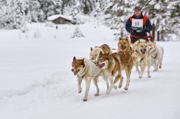 Kandersteg 2014 WM