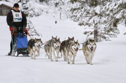 Kandersteg 2014 WM