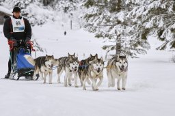 Kandersteg 2014 WM