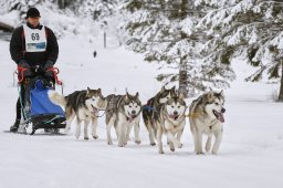 Kandersteg 2014 WM