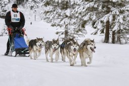 Kandersteg 2014 WM