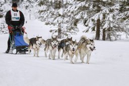 Kandersteg 2014 WM