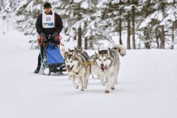 Kandersteg 2014 WM