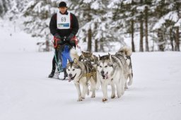 Kandersteg 2014 WM