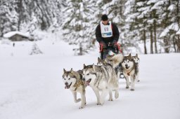 Kandersteg 2014 WM