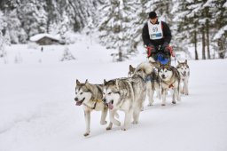 Kandersteg 2014 WM