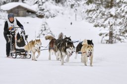 Kandersteg 2014 WM