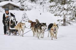 Kandersteg 2014 WM