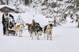 Kandersteg 2014 WM