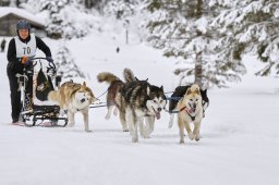 Kandersteg 2014 WM