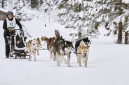 Kandersteg 2014 WM