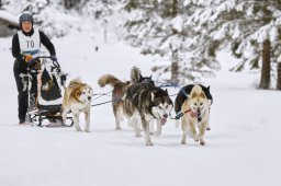 Kandersteg 2014 WM