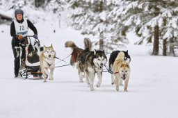 Kandersteg 2014 WM