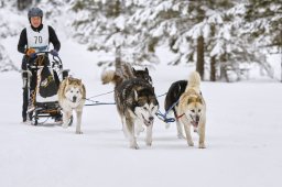 Kandersteg 2014 WM