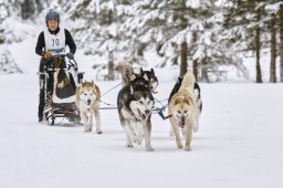 Kandersteg 2014 WM