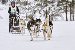 Kandersteg 2014 WM