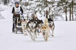 Kandersteg 2014 WM