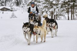 Kandersteg 2014 WM