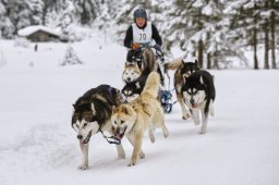 Kandersteg 2014 WM