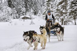 Kandersteg 2014 WM