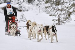 Kandersteg 2014 WM