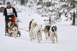 Kandersteg 2014 WM