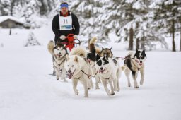 Kandersteg 2014 WM