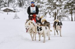 Kandersteg 2014 WM