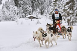 Kandersteg 2014 WM